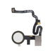 For Google Pixel 4a / Pixel 4a 5G Replacement Fingerprint Reader With Flex Cable (Clearly White)-Repair Outlet