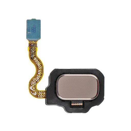 For Samsung Galaxy S8 G950F Replacement Fingerprint Reader With Flex Cable (Gold)-Repair Outlet